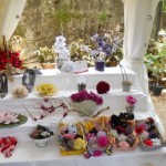 Fiori Boboli Parcheggio a Firenze