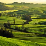 La Toscana