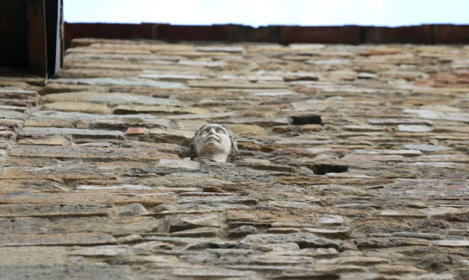 Al momento stai visualizzando CHI È LA BERTA?